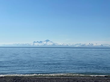 How to add and delete contacts in bulk using the Paubox Marketing API