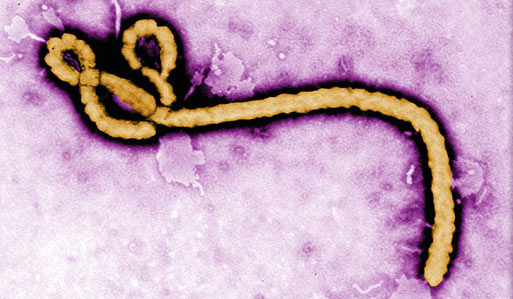HIPAA Privacy during Ebola Outbreak
