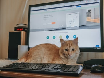 Can I use Zoom Chat and be HIPAA compliant?