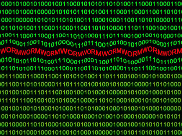 What is a computer worm?