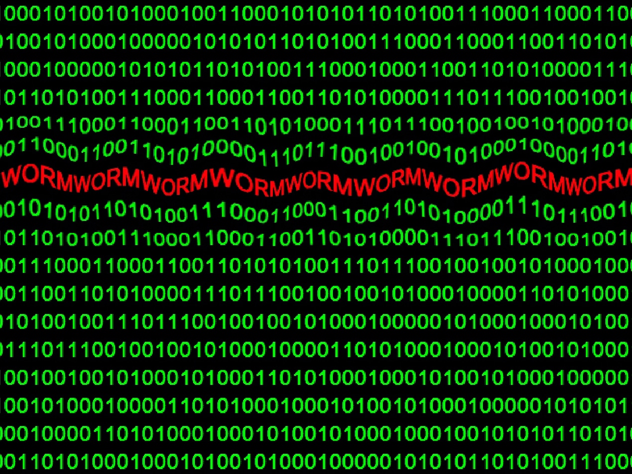 Binary code cyberattack using the virus as a worm.
