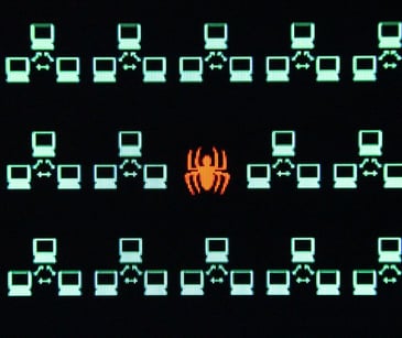 digital code screen with spider image
