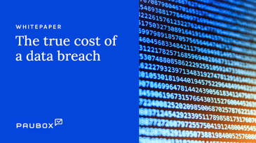 The True Cost of a Data Breach