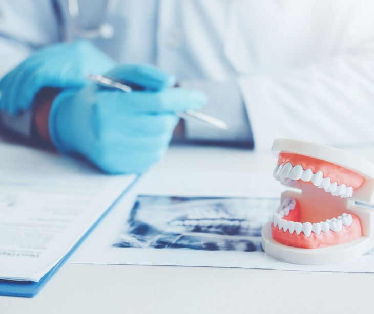 dentist at desk with xrays and mouth model