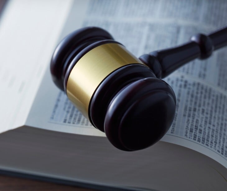 Image of a gavel on a book. 
