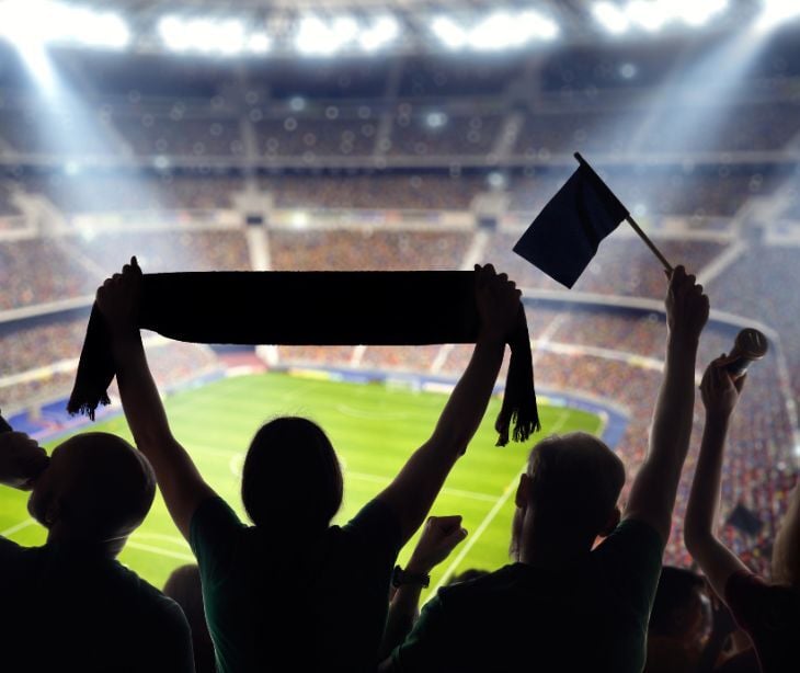 fans at sports event