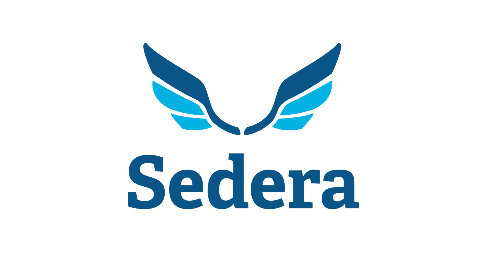 Sedera Email API