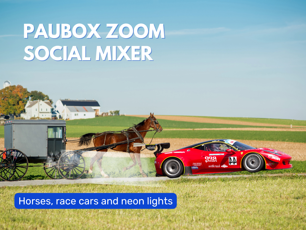 Paubox zoom mixer: horses, race cars and neon lights