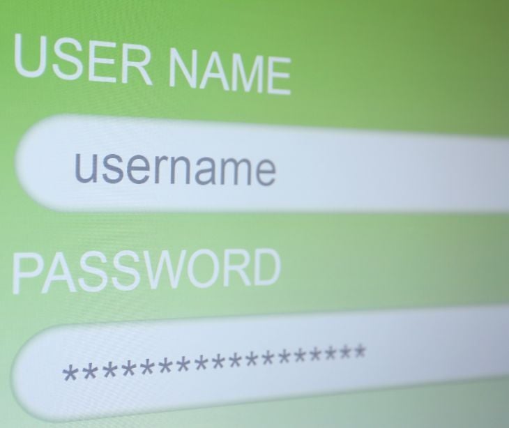 Image of a username and password entered into a field. 