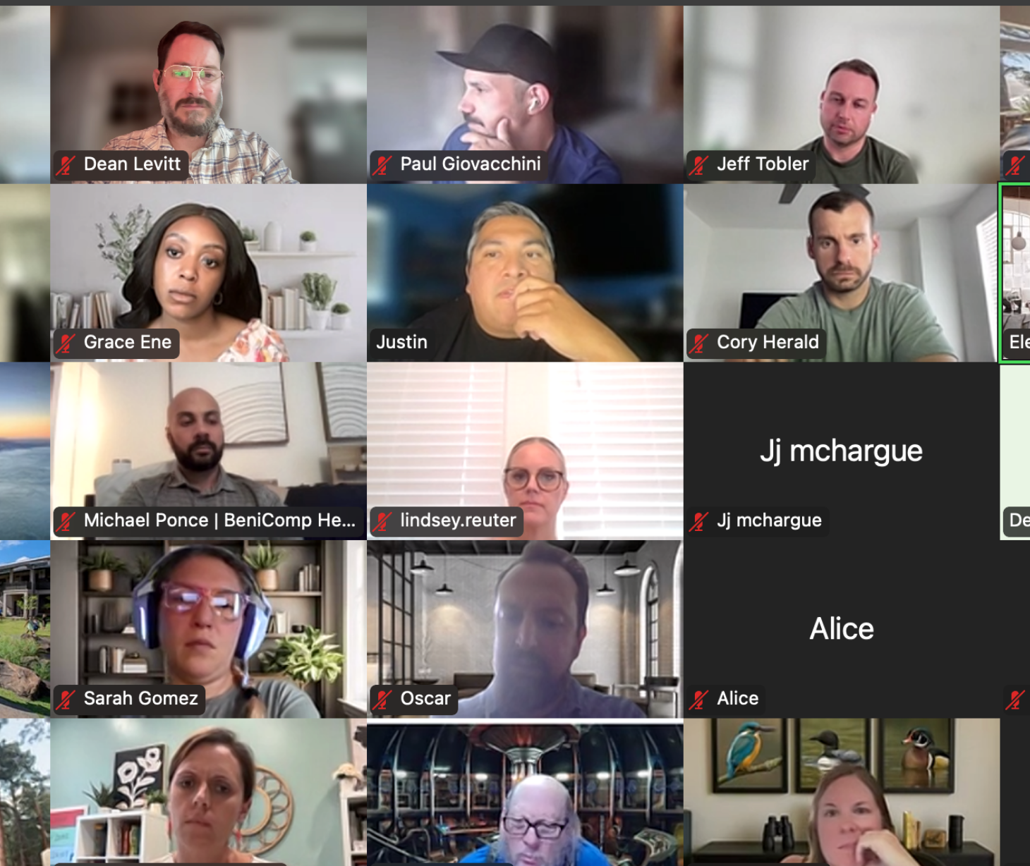 Paubox customers: Paubox Zoom social mixer (August 2025)