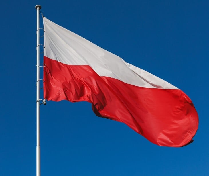 Poland arrests suspect linked to Phobos ransomware operation