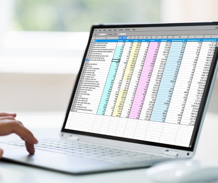 What is model inversion risk?