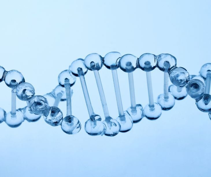 Image of DNA. 