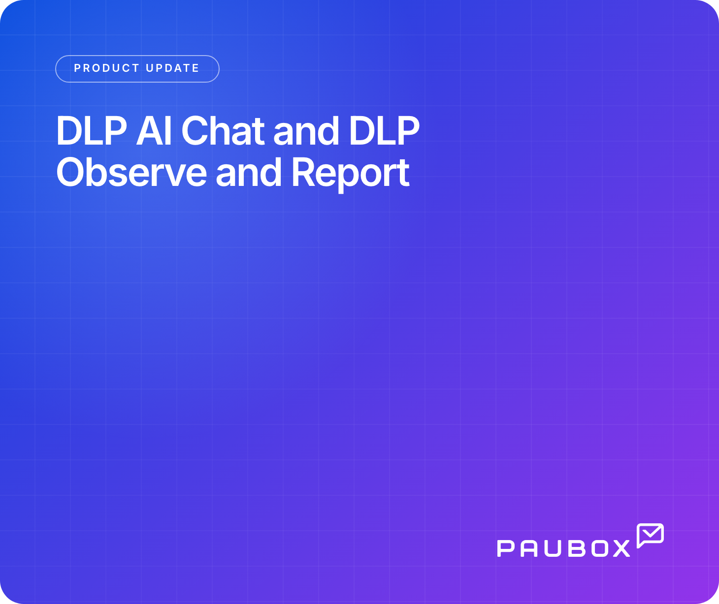 DLP AI Chat and DLP Observe and Report